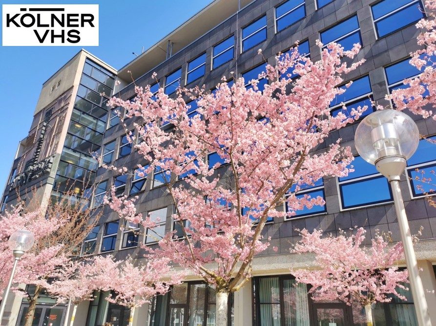 Blick auf die Fassade vom Studienhaus